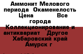 Аммонит Мелового периода. Окаменелость. › Цена ­ 2 800 - Все города Коллекционирование и антиквариат » Другое   . Хабаровский край,Амурск г.